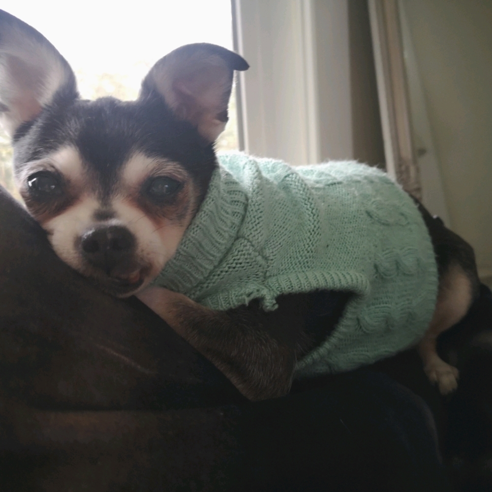 Meet your Posher, Emelia